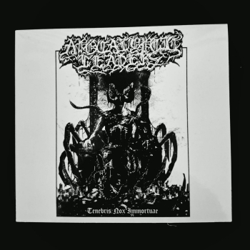 Apocalyptic Leaders - Tenebris Nox Immortuae