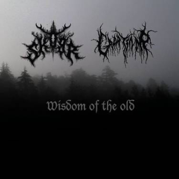 SKOGR /GRAATINDR - Wisdom of the Old