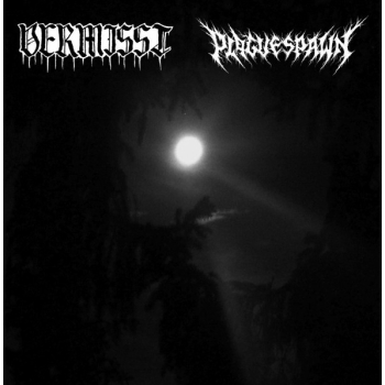 VERMISST / PALGUESPAWN - Lunar Emanations of Haunted Shrines