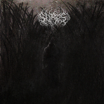 Sores – Sores