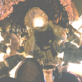 Pando - Rites