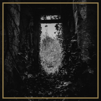 I, The Weapon – The Ivy